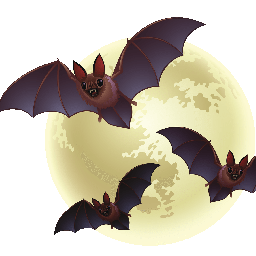 Chauve-souris_2