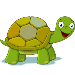 Tortue