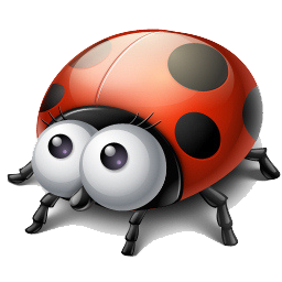 Coccinelle